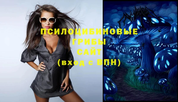герыч Арсеньев