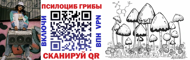 OMG ССЫЛКА  Кукмор  Псилоцибиновые грибы MAGIC MUSHROOMS 